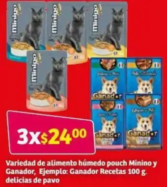 Variedad de Alimento Húmedo Pouch Minino y Ganador 100g