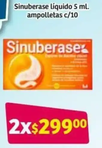Sinuberase Líquido 5ml Ampolletas c/10