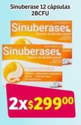 Sinuberase 12 Cásulas 2BCFU