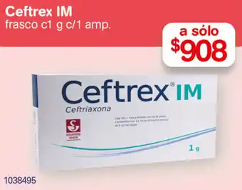 Ceftrex IM frasco c1 g c/1 amp.
