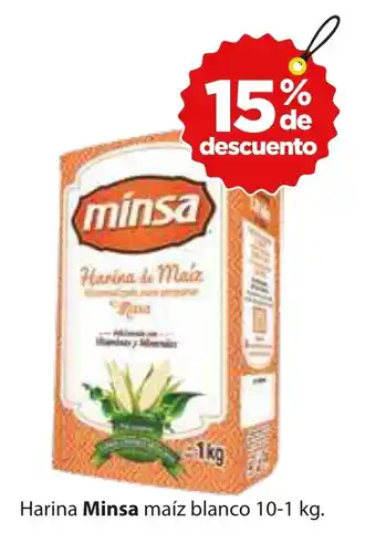 Zorro Harina Minsa maíz blanco 10-1 kg. oferta