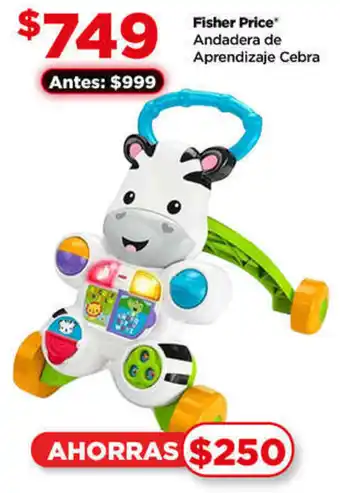 Fisher Price Andadera de Aprendizaje Cebra