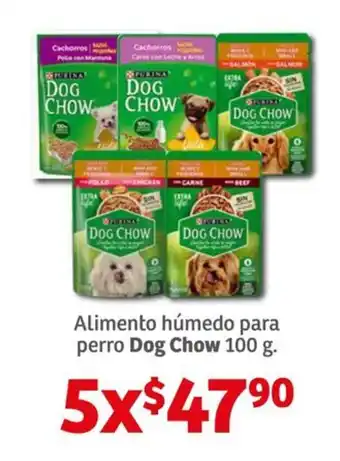 Soriana Híper Alimento húmedo para perro Dog Chow 100 g. x 5 oferta