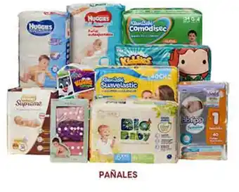 PAÑALES
