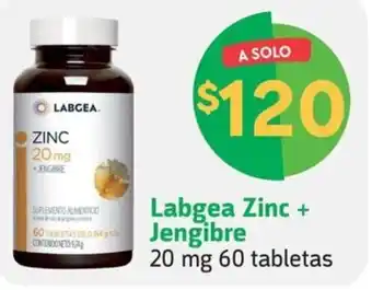 Farmacias YZA Labgea Zinc + Jengibre 20 mg 60 tabletas oferta