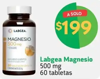 Farmacias YZA Labgea Magnesio 500 mg 60 tabletas oferta