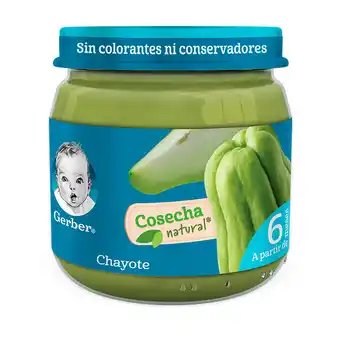 Farmacia San Pablo Gerber papilla de chayote etapa 2 oferta