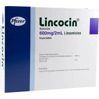 Farmacia San Pablo Lincocin adulto inyección 6 solución jeringa prellenada oferta