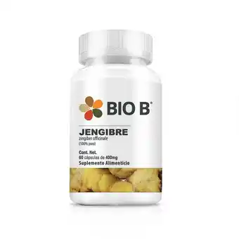 Farmacia San Pablo Bio b jengibre 100% puro suplemento alimenticio oferta