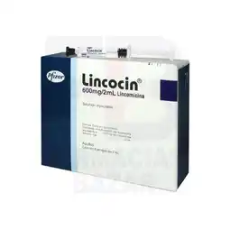 Farmacias Bazar Lincocin 600mg 6 ampolletas 2ml oferta