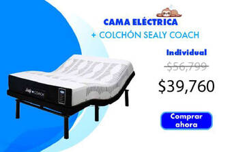 Dormimundo CAMA ELÉCTRICA + COLCHÓN SEALY COACH Individual oferta