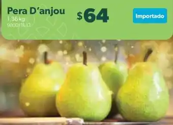 Pera D'anjou