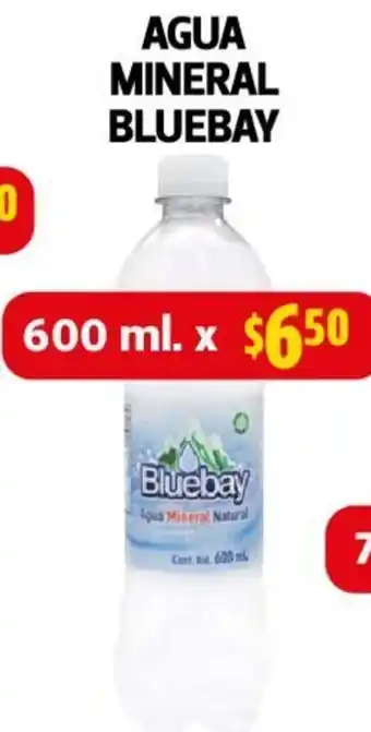 Farmacias Guadalajara AGUA MINERAL BLUEBAY 600 ML. oferta