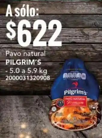 City Club Pavo natural PILGRIM'S - 5.0 a 5.9 kg oferta