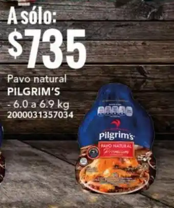 City Club Pavo natural PILGRIM'S - 6.0 a 6.9 kg oferta