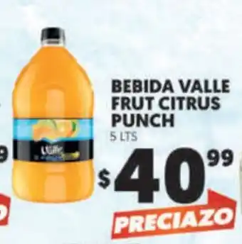 Bebida Valle Frut Citrus Punch 5 LTS
