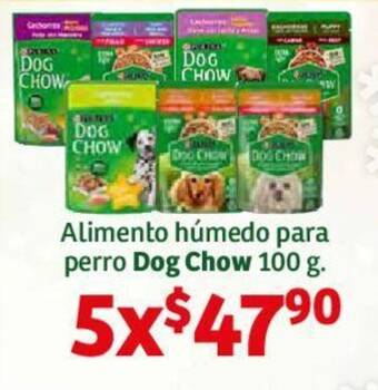 Soriana Híper Alimento húmedo para perro Dog Chow 100 g. x 5 oferta