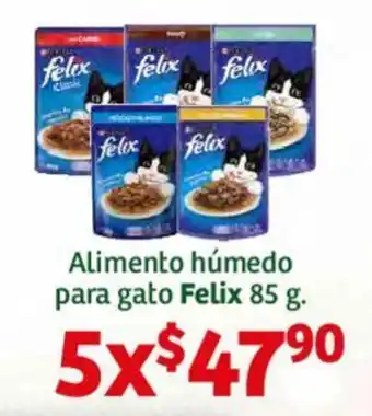 Alimento húmedo para gato Felix 85 g. x 5