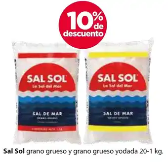Zorro Sal Sol grano grueso y grano grueso yodada 20-1 kg oferta