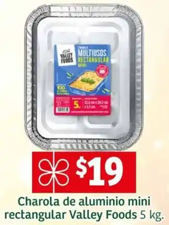 Soriana Mercado Charola de aluminio mini rectangular Valley Foods 5 kg oferta