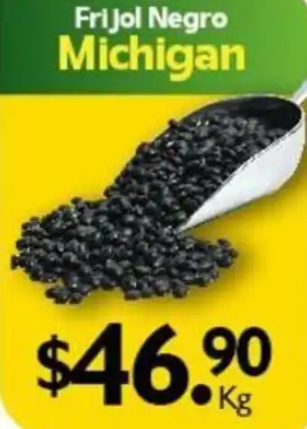 Arteli Frijol Negro Michigan oferta