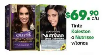 Arteli Tinte Koleston o Nutrisse v/tonos oferta