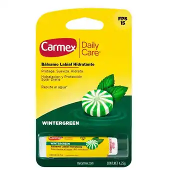 Farmacia San Pablo Carmex daily care wintergreen bálsamo labial hidratación y protección solar diaria oferta