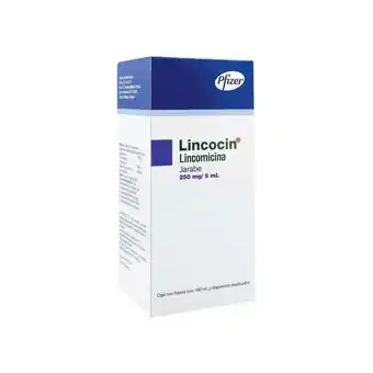Farmacias Benavides 5 gr lincomicina oferta