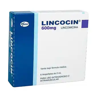 Farmacias Benavides 600 mg /2 ml lincomicina oferta