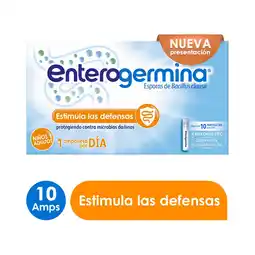 Farmacias Benavides Bacillus clausii 4 billones ufc niños y adultos probióticos oferta
