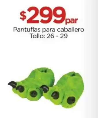Pantuflas para caballero Talla: 26-29