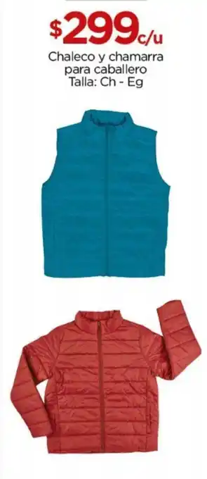 Chedraui Chaleco y chamarra para caballero Talla: Ch - Eg oferta