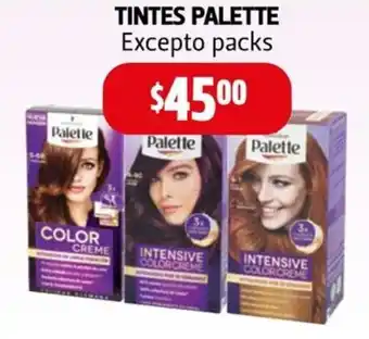 TINTES PALETTE Excepto packs