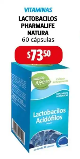 Farmacias Guadalajara LACTOBACILOS PHARMALIFE NATURA 60 cápsulas oferta