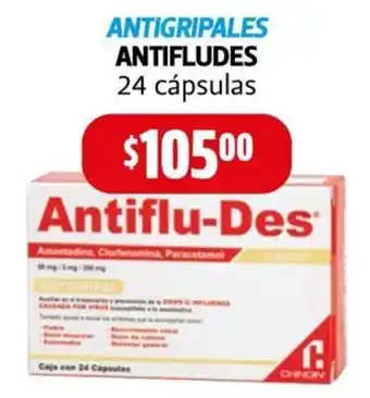 ANTIFLU-DES 24 cápsulas