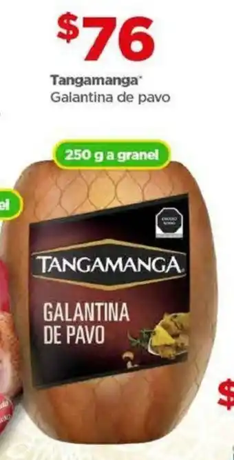 Tangamanga Galantina de pavo 250 g a granel