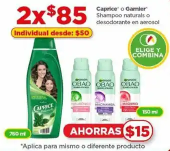 Caprice o Garnier Shampoo naturals o desodorante en aerosol 760 ml / 150 ml x 2 CAPRICE