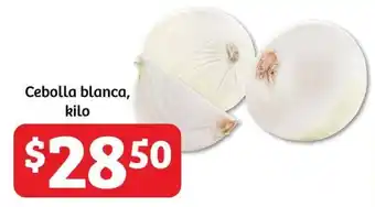 Soriana Híper Cebolla blanca, kilo oferta