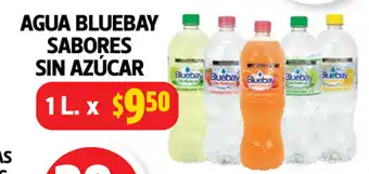 Farmacias Guadalajara Agua Bluebay Sabores Sin Azucar 1L oferta