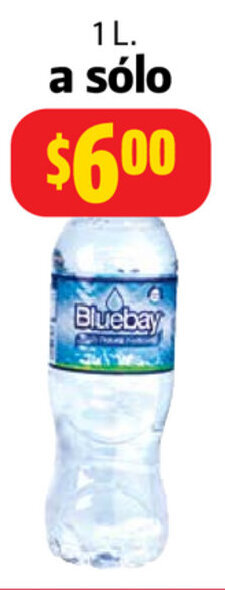 Farmacias Guadalajara Agua Bluebay 1L oferta