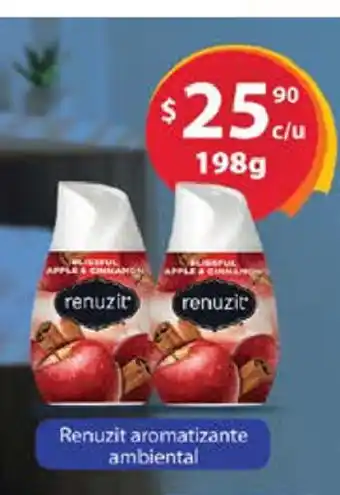 Renuzit Aromatizante Ambiental 198g