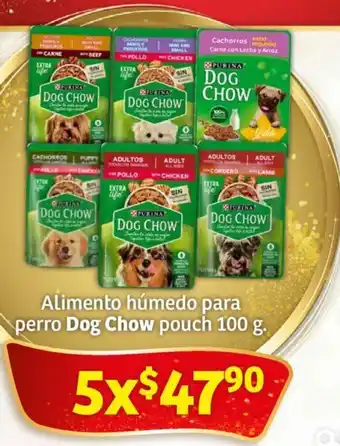 Alimento húmedo para perro Dog Chow pouch 100 g. x 5