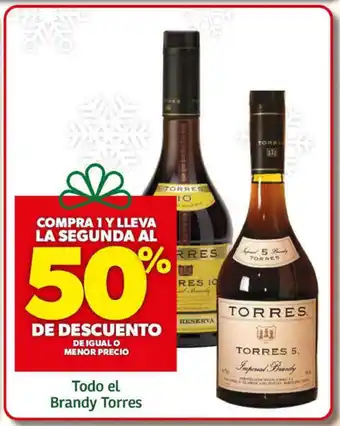 Todo el Brandy Torres