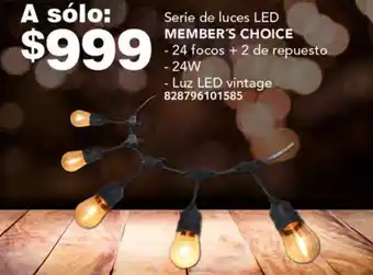 Serie de luces LED MEMBER'S CHOICE