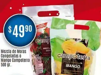 Mezcla de Moras Congeladas o Mango Campoterra 500 gr.