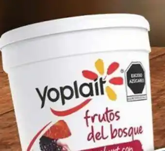 Yoghurt Batido Frutos del Bosque Yoplait / 1 kg.
