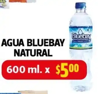 Farmacias Guadalajara AGUA BLUEBAY NATURAL 600ml oferta