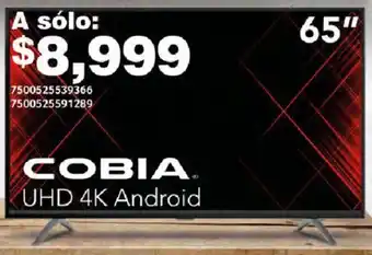 City Club COBIA UHD 4K Android 65" oferta