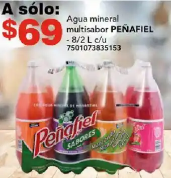 City Club Agua mineral multisabor PEÑAFIEL 8/2L oferta