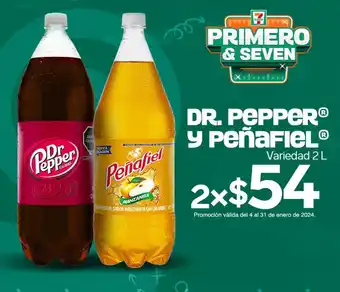 Dr. Pepper y Peñafiel variedad 2L x 2